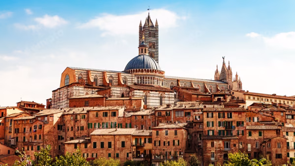 Siena Carpet